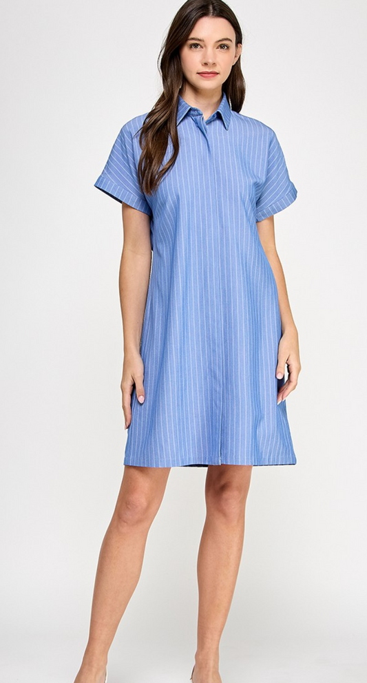 Stripe Shirt Dress